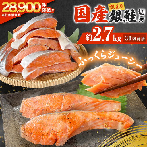 訳あり 国産 銀鮭 定塩切身 どっさり 2.7kg 鮭