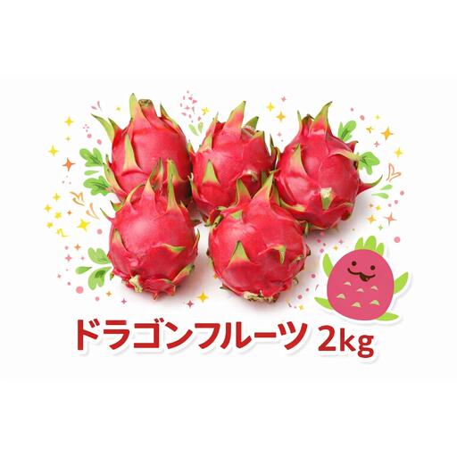 宮平農園のドラゴンフルーツ 2kg(レッド)   