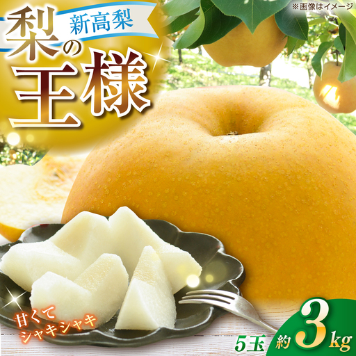 [先行予約] 新高梨 約3kg(5玉)[2026年9月20日~10月末発送] / 高知 新高梨 [川渕果樹園][ATHX002]