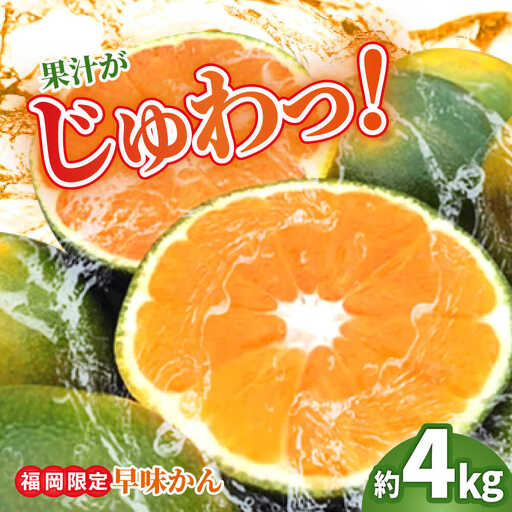 [先行予約]福岡 早みかん 約4kg BGAG014 フルーツ みかん