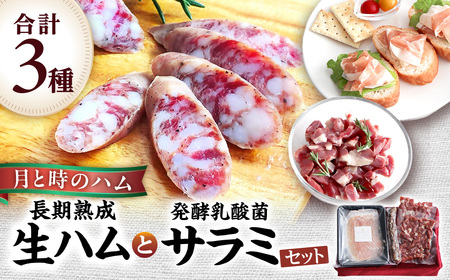 田島畜産の月と時のハム(長期熟成生ハム)と発酵乳酸菌サラミセット 長期熟成 生ハム ハム 塩漬け サラミ 豚肉 ミンチ モモ肉 骨付 冷凍便 佐賀県 太良町 NB38