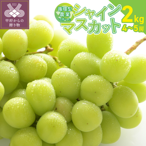 [2026年配送分]甲府市産自然塾のシャインマスカット2kg(4〜5房)