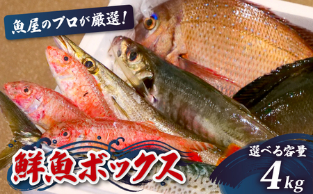 【 鮮魚 】 鮮魚ボックス4kg
