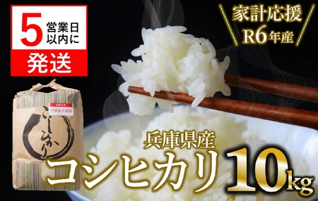 【数量限定_家計応援】令和6年産 コシヒカリ 白米10kg　【5営業日以内発送】(21-13)