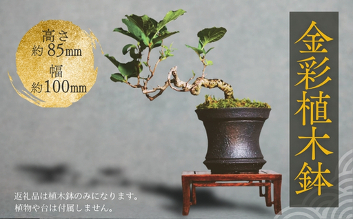 金彩植木鉢 ミニ盆栽 多肉植物 手作り 植木鉢 うえきばち 一点もの 鉢 観葉植物 ガーデニング おしゃれ こだわりの逸品 地域特産品 ギフト 自分用 人気 おすすめ 大阪 河内長野 プレゼント 父の日 母の日 敬老の日 誕生日 お祝い 陶芸  