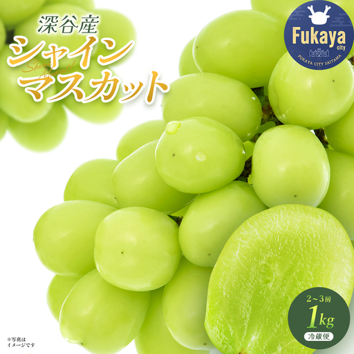 シャインマスカット　1kg　【11218-0921】