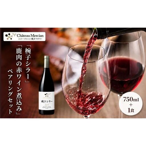 ワイン 限定品 1食 椀子シラー ペアリングセット ワイン
