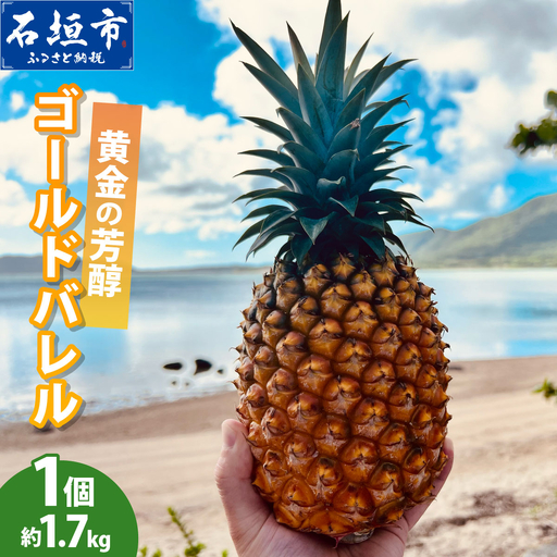 [先行予約]黄金の芳醇 ゴールドバレル 1玉 約1.7kg