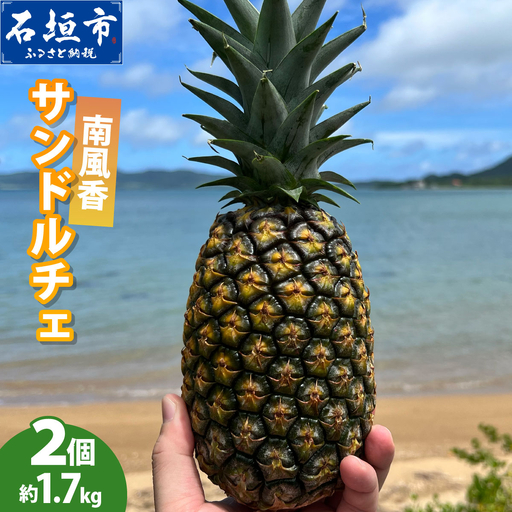 【先行予約】南風香 サンドルチェ 2玉 約1.7kg 