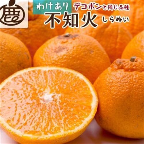 家庭用 不知火5kg+250g(傷み補償分)【デコポンと同品種・人気の春みかん】【訳あり】【配送不可地域：離島・北海道・沖縄県】【1633646】