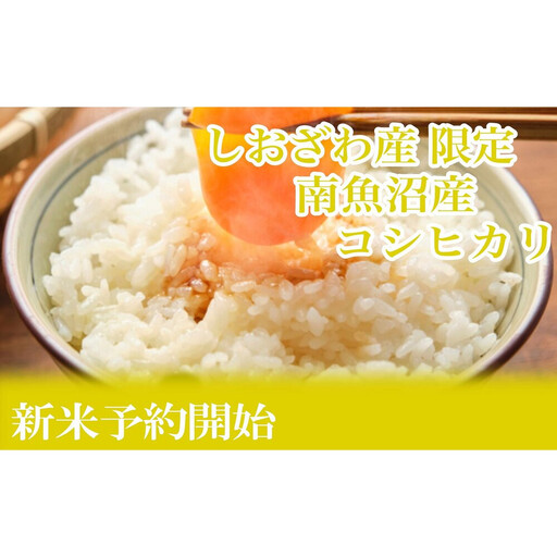 【令和8年産　新米予約】定期便12ヶ月：精米5kgしおざわ産限定 南魚沼産コシヒカリ【定期便 銘柄米 ブランド米 精米 こしひかり コシヒカリ 魚沼産 新潟米 お米 米】【2026年10月上旬から1ヶ月以内に順次発送予定】