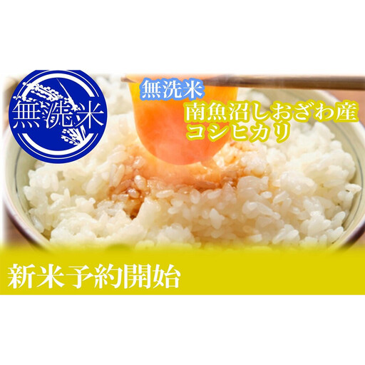 【令和8年　新米予約】定期便３ヶ月：無洗米2kg●南魚沼しおざわ産コシヒカリ【2026年10月上旬から1ヶ月以内に順次発送予定】｜無洗米