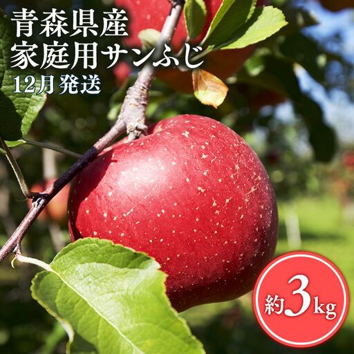 りんご 家庭用サンふじ3㎏ りんご