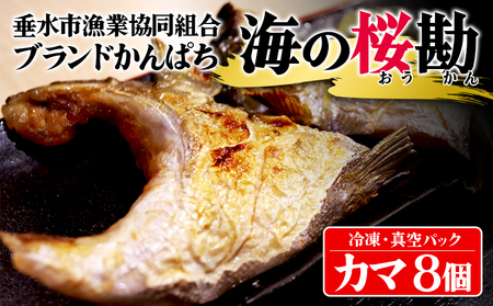 A1-0130／垂水カンパチ『海の桜勘』 カマ 8個（計1.2kg以上）