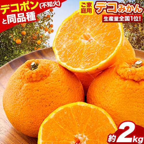 不知火 デコみかん ( デコポン と同品種 ) ご家庭用 [2月上旬-4月上旬頃出荷]訳あり 熊本県産 ( 荒尾市産含む ) 約2kg (4-10玉前後) 柑橘みかん フルーツ 不知火 訳アリ でこみかん 果物