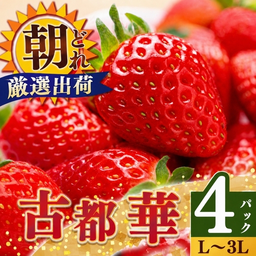 平群 の 古都華 いちご L ~ 3L サイズ から 2種 （2パック2ケース）計4パック 苺屋小東 | フルーツ いちご 古都華 先行予約 奈良県 平群町