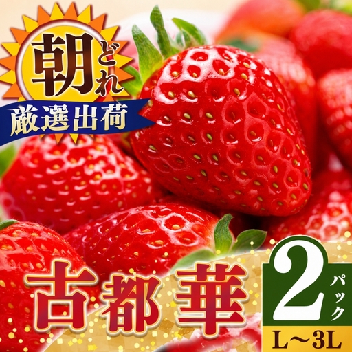 平群の古都華 いちご L ~ 3L サイズ から 2種 (2パック1ケース)計 2パック 苺屋小東 | フルーツ いちご 古都華 先行予約 奈良県 平群町