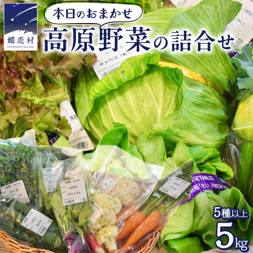 本日のおまかせ 高原野菜 の 詰合せ 5kg 5種以上 [AF027tu]