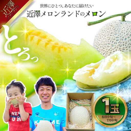 【先行予約】メロン 1玉入（約1.4kg〜1.8kg）青肉 〈2027年6月中旬〜7月中旬頃発送〉 メロン めろん マスクメロン 舐瓜 果物 くだもの フルーツ デザート 旬 ハウス栽培【株式会社とさもん】[BQAE026]
