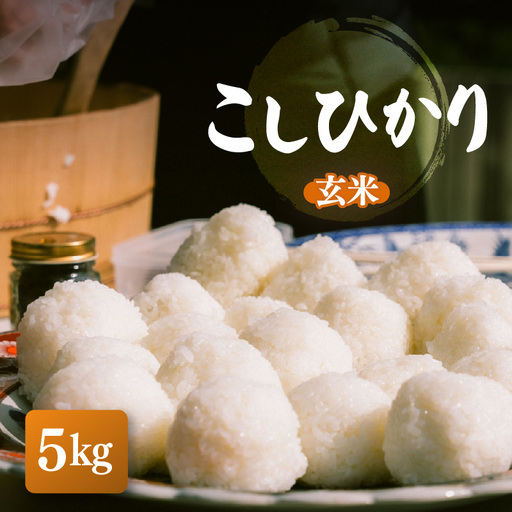 [先行予約][令和8年産]こしひかり 5kg[玄米][2026年10月中旬以降順次発送] [e26-a015_02]