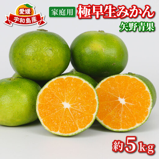 家庭用 極早生 みかん 5kg 矢野青果 温州みかん 果物 くだもの フルーツ 柑橘 蜜柑 愛媛蜜柑 愛媛みかん 愛媛ミカン mikan 産地直送 数量限定 国産 愛媛 宇和島 B012-171023