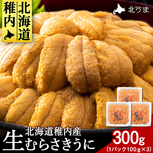 【うにの名産地稚内市】最北端の生むらさきうに(100gパック×3) うに ウニ ムラサキウニ