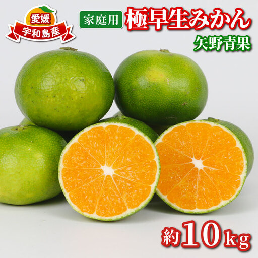 家庭用 極早生 みかん 10kg 矢野青果 温州みかん 果物 くだもの フルーツ 柑橘 蜜柑 愛媛蜜柑 愛媛みかん 愛媛ミカン mikan 産地直送 数量限定 国産 愛媛 宇和島 B024-171024