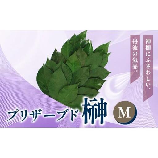 プリザーブド 榊 Mサイズ（1対 2束）プリザーブドフラワー