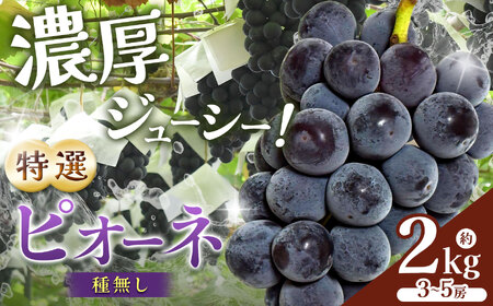 [先行予約]上郡町 船坂ぶどう 特選ピオーネ ( 種なし ) 2kg | フルーツ ぶどう ピオーネ 特選 果物 くだもの 兵庫県 上郡町[発送は2026年9月1日〜2026年9月15日頃予定]