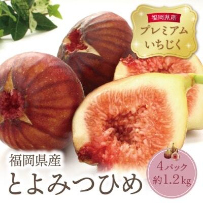  [2026年発送][予約受付] とよみつひめイチジク(4パック) イチジク