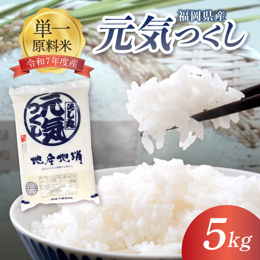 令和7年産 JAよりお届け！福岡県ブランド米「元気つくし」5kg【ほたるの里】_HA1788