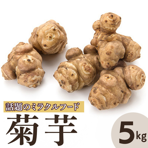 菊芋 (きくいも) 健康野菜 5kg [2026年 11月以降発送]