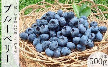 茂木町産 冷凍ブルーベリー500g | ブルーベリー 冷凍 栃木県 茂木町
