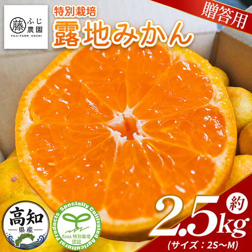 【特別栽培みかん】【2026年10月以降順次配送分】ふじ農園 贈答用 2.5kg 小玉 みかん fn-0009