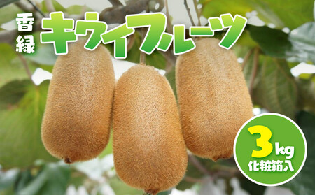 香緑 キウイフルーツ 3kg(化粧箱)