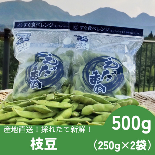 採れたて新鮮!! 高山村の枝豆 500g