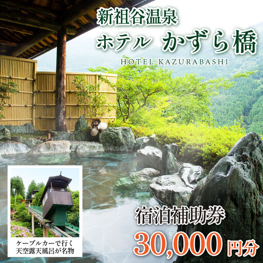 新祖谷温泉ホテルかずら橋 宿泊券 30,000円分 旅行【 旅行 】