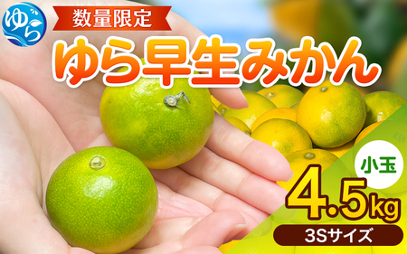 みかん 小粒 ゆら早生 ※2026年10月中旬頃~2026年10月下旬頃に順次発送予定 / こだま 小玉 こつぶ [kzmn003-3s-4d5]