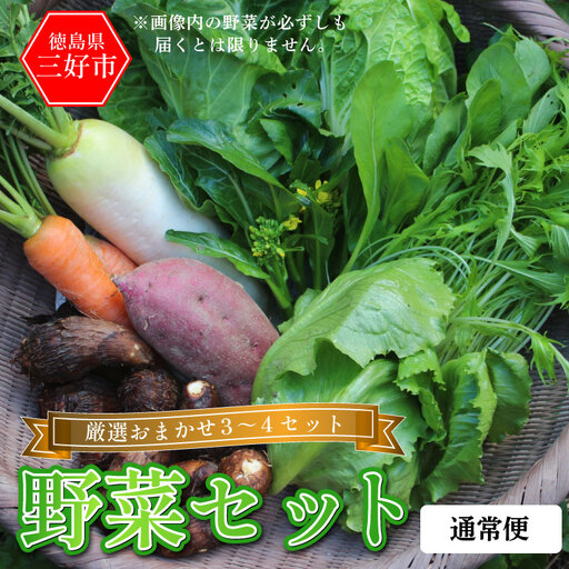 野菜 おまかせ セット 3〜4種 旬の野菜 詰め合わせ[ 野菜 ]