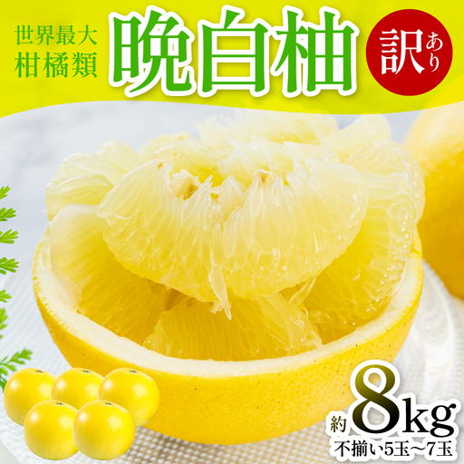 【先行予約】 【訳あり】 晩白柚 5～7玉 約8kg ばんぺいゆ 果物 果実 くだもの フルーツ 柑橘 柑橘類 熊本県 八代市 【2027年1月上旬より順次発送】