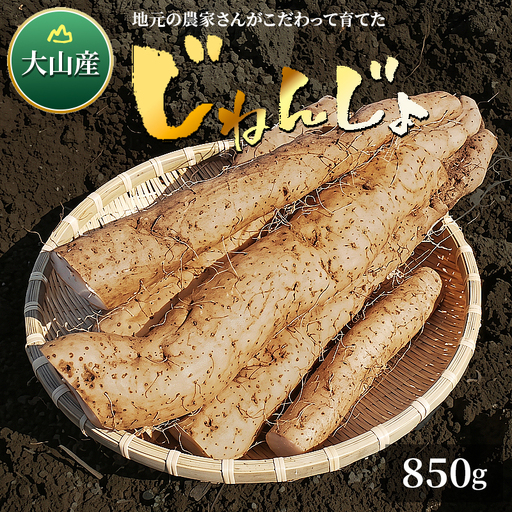 MS-07　大山産自然薯 850g