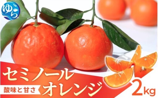 セミノール 2kg / みかん 晩柑 柑橘 蜜柑 果物 送料無料 産地直送 和歌山県 由良町 ※3月下旬〜4月下旬頃に順次発送予定[kzmn016-r-2]