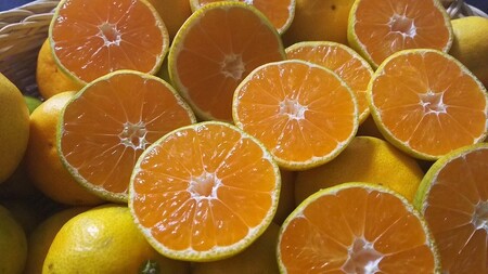 進栄 [家庭用]極早生温州みかん 約5kg