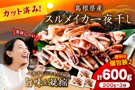 スルメイカ一夜干し(200g×3袋) 計600g イカ 干物 [005_2059]