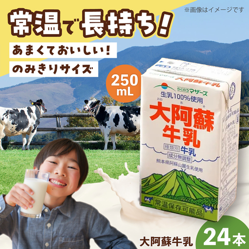 大阿蘇 牛乳 250ml24本入り 牛乳  BHBY011