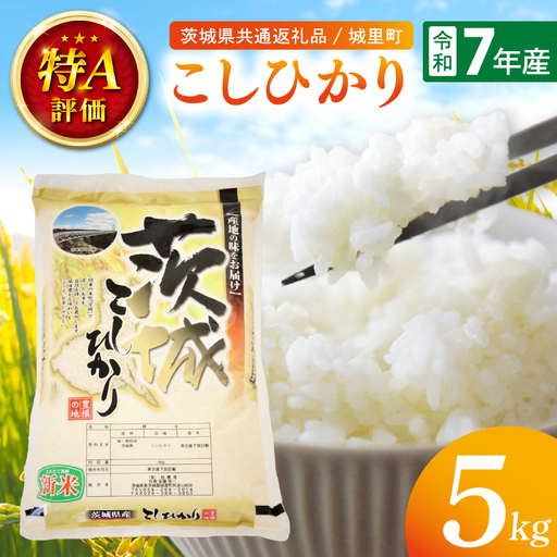 【数量限定】【令和7年産】茨城県産こしひかり 5kg（茨城県共通返礼品/城里町）（IH-6249）