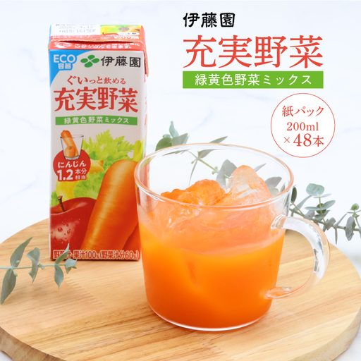【10営業日以内発送】伊藤園 充実野菜 緑黄色野菜ミックス 紙パック 200ml 48本 スピード発送 紙パック 野菜ジュース 伊藤園 充実野菜 野菜ジュース　023-G-IT012