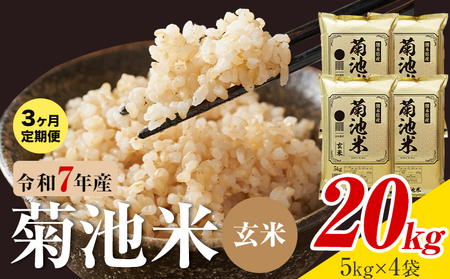 【3ヶ月定期便】熊本県産 菊池米 玄米 20kg 1袋5kg 米 お米 令和7年産 九州産 熊本県産  送料無料《お申込み翌月に出荷予定》玄米 米
