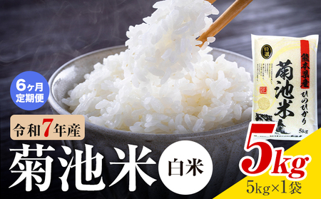 【6ヶ月定期便】熊本県産 菊池米 白米 5kg 1袋5kg 米 お米 令和7年産 九州産 熊本県産 送料無料《お申込み翌月に出荷予定》 白米 米