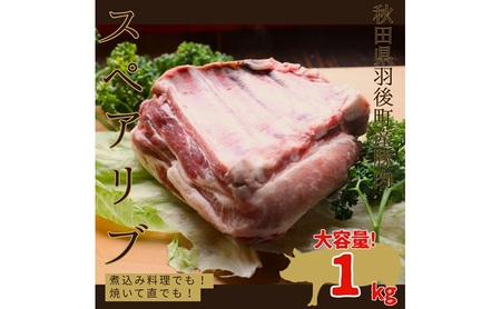 豚肉 骨付きスペアリブ 秋田県産 豚肉【1kg】